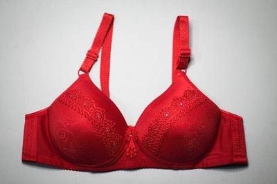 Red bra with intricate detailing on a gray background