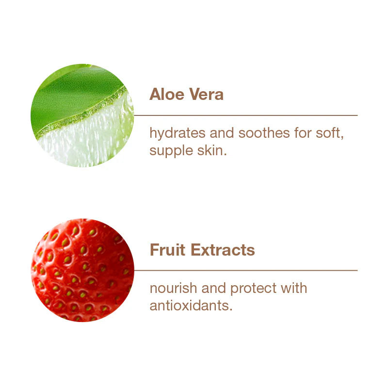 Illustration of aloe vera and fruit extracts with text on a white background